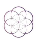 Perth_Hypnosis_Clinic__3_-removebg-preview